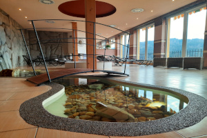 Luxury Spa & Wellness VILA VALAŠKA Luhačovice